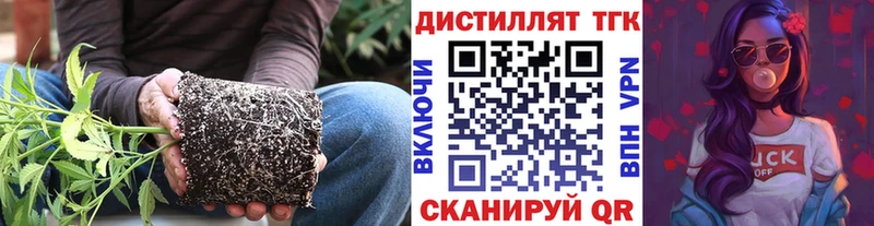 хочу наркоту  Лобня  Дистиллят ТГК THC oil 