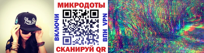 закладка  Лобня  Галлюциногенные грибы Psilocybe 